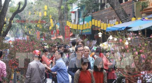 Chợ hoa truyền thống Hàng Lược (Hà Nội)