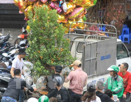 Chợ hoa truyền thống Hàng Lược (Hà Nội)