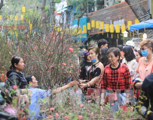 Chợ hoa truyền thống Hàng Lược (Hà Nội)