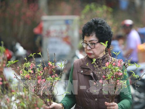 Chợ hoa truyền thống Hàng Lược (Hà Nội)