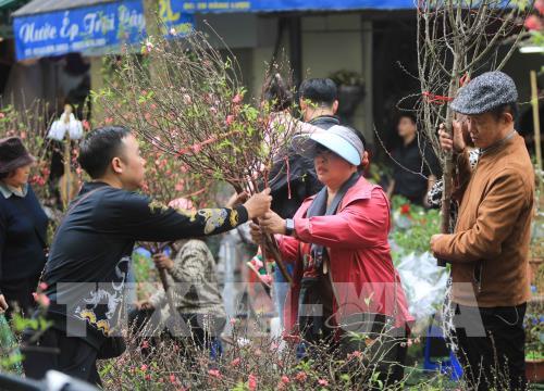 Chợ hoa truyền thống Hàng Lược (Hà Nội)