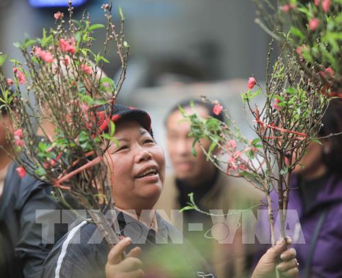 Chợ hoa truyền thống Hàng Lược (Hà Nội)