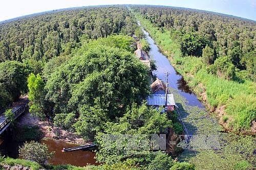 Hơn 30% diện tích rừng Cà Mau báo động cháy ở mức cao