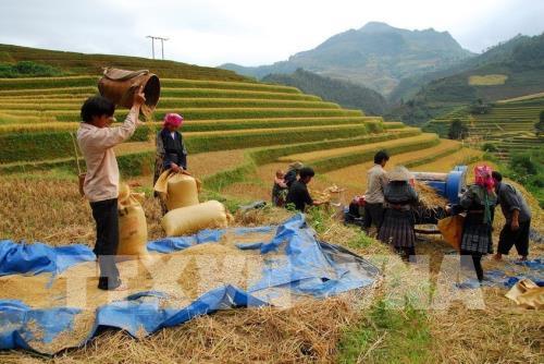 Ruộng bậc thang Mù Cang Chải