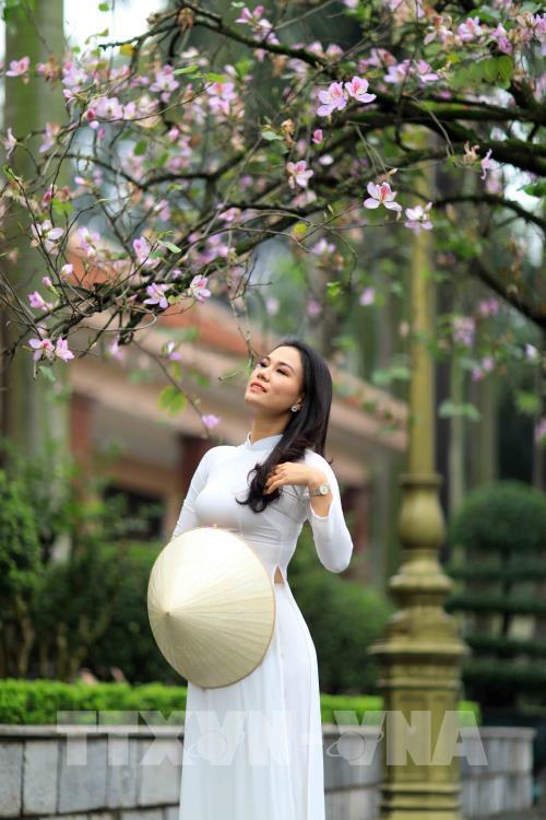 Dịu dàng mùa hoa ban tháng 2