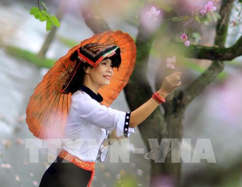 Dịu dàng mùa hoa ban tháng 2