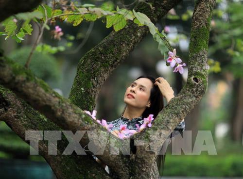 Dịu dàng mùa hoa ban tháng 2