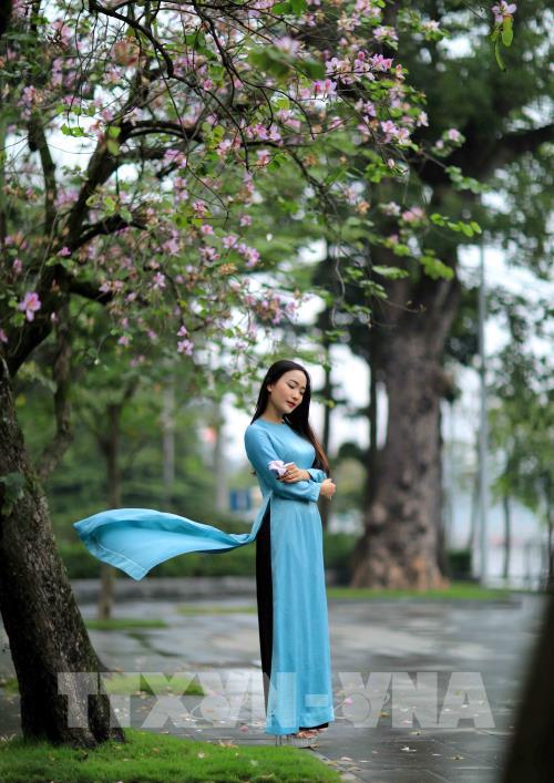 Dịu dàng mùa hoa ban tháng 2