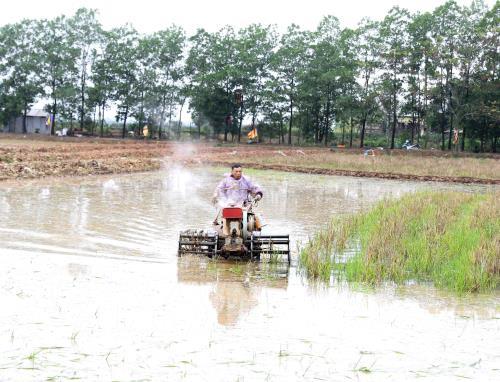 Trên 54% diện tích gieo cấy vụ Đông Xuân đã có nước