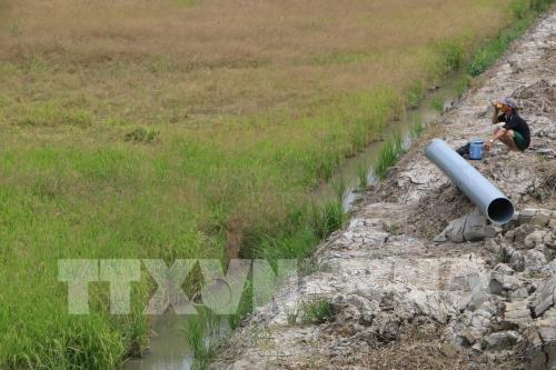 Trung Bộ và Tây Nguyên: Nguy cơ tiếp tục hạn hán, thiếu hụt nguồn nước và xâm nhập mặn 