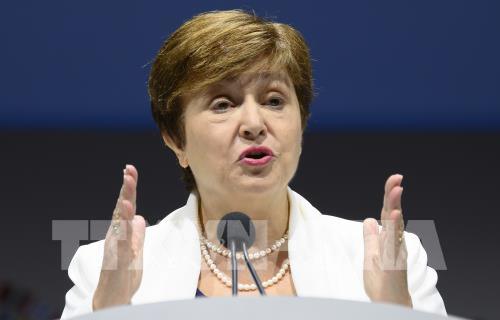 Dịch COVID-19: IMF thành lập Ủy ban Tư vấn về đại dịch COVID-19