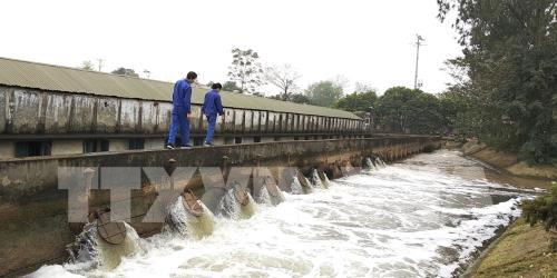 Đợt 2 lấy nước gieo cấy lúa vụ Đông Xuân sẽ bắt đầu từ 0 giờ ngày 26/1