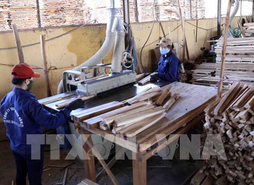 Bộ Nông nghiệp và Phát triển nông thôn nghiên cứu điều hành xuất khẩu gỗ