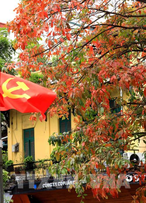 Hà Nội mùa cây thay lá