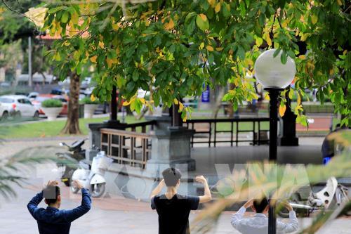 Hà Nội mùa cây thay lá