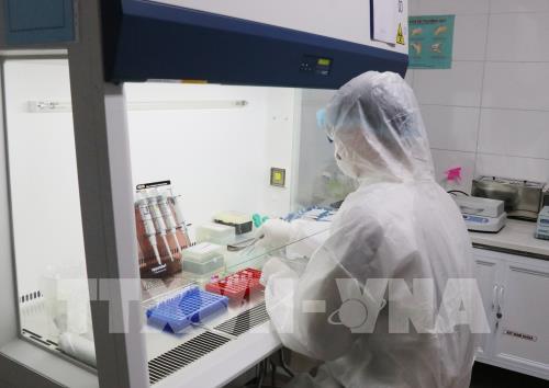 Việt Nam xác nhận ca nhiễm COVID-19 thứ 68