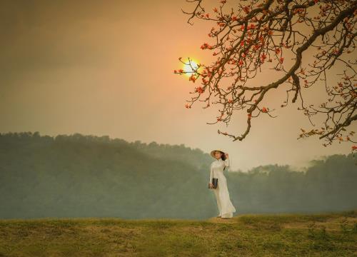 Tháng ba hoa gạo nở