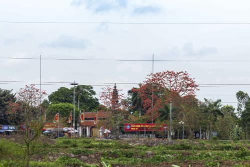 Tháng ba hoa gạo nở