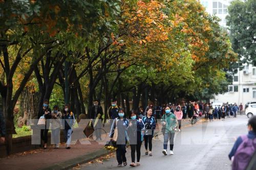 Nhiều trường đại học công bố điểm chuẩn: Ngành học có điểm trúng tuyển 30/30