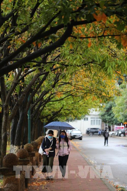 Con đường lá vàng đẹp ngất ngây tại Đại học Sư phạm Hà Nội