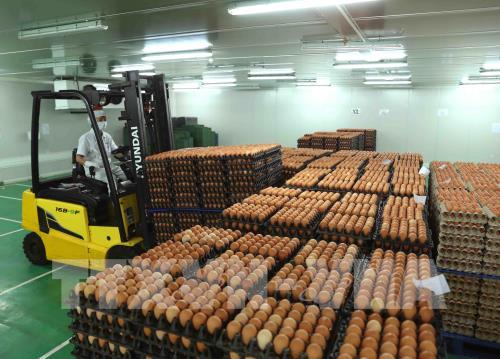 Phân giao hạn ngạch thuế quan nhập khẩu muối, trứng gia cầm năm 2024