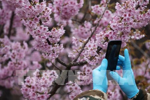 Mùa hoa xuân tuyệt đẹp ở Trung Quốc