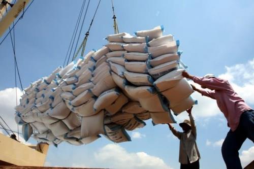 Việt Nam có thể thành nhà xuất khẩu gạo hàng đầu thế giới