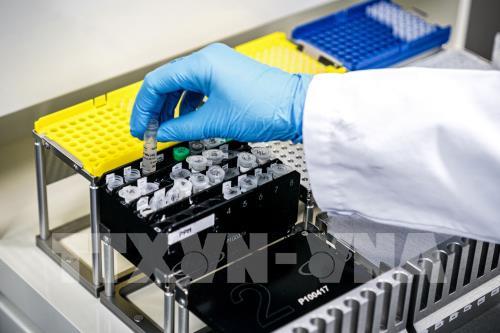 Giới chức y tế Hà Lan nhận định tốc độ lây lan COVID-19 giảm đáng kể