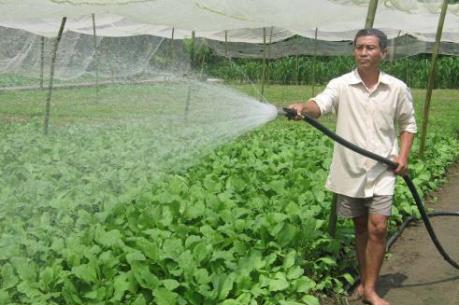 Khi nông dân chưa muốn sản xuất theo Viet GAP! 