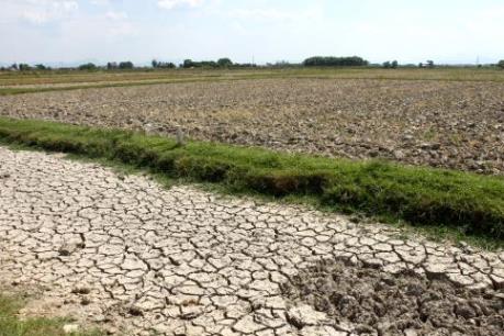 Thủ tướng chỉ thị triển khai biện pháp cấp bách phòng chống hạn hán