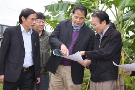 Hà Nội phát triển các vùng sản xuất hàng hóa tập trung