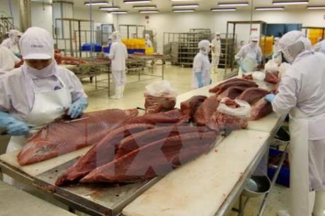 Mekong Connect Forum 2015 lần đầu sẽ diễn ra tại Cần Thơ