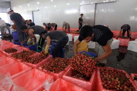 Luật Doanh nghiệp mới tạo động lực cho doanh nghiệp phát triển