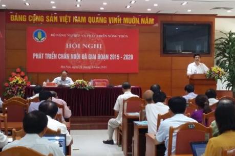 10 đầu việc cần làm ngay để ngành chăn nuôi không thua trên "sân nhà"