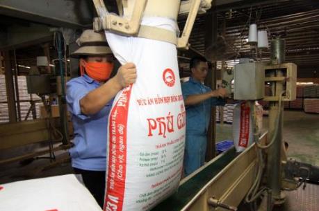 Sử dụng chất cấm trong chăn nuôi sẽ bị phạt nặng