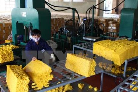 Vẫn thiếu bộ quy chuẩn quốc gia cho ngành cao su