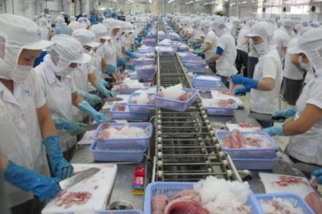 Xuất khẩu thủy sản sang Trung Quốc: Tiềm năng đan xen rủi ro