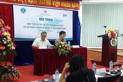 Giấy phép xuất khẩu “trói chân” ngành sản xuất lúa gạo