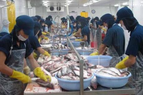 TP. HCM đề xuất lập khu công nghiệp hỗ trợ và chế biến thực phẩm