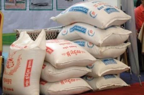 Campuchia: 8 tháng, xuất khẩu gạo tăng gần 50%