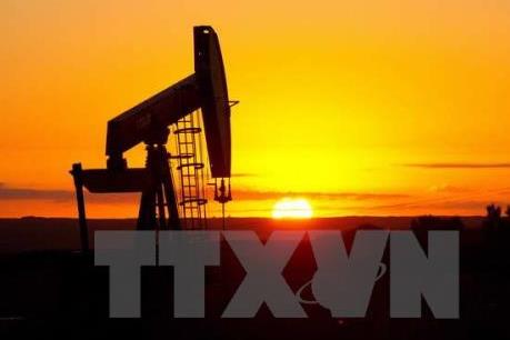 Giá dầu thế giới giảm nhẹ trước thềm cuộc họp OPEC