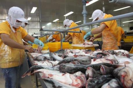 Hợp tác công – tư hỗ trợ phát triển thủy sản bền vững