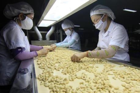 Tiếp cận thị trường EU vẫn là bài toán khó cho doanh nghiệp Việt