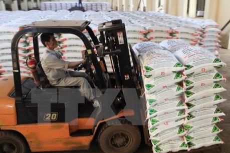 Kiểm soát chặt việc cấp chứng nhận chất lượng phân bón
