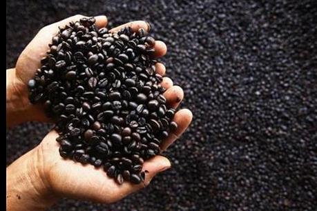 Giá cà phê rơi xuống mức thấp nhất trong hai năm