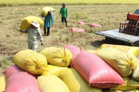 Xuất khẩu hàng nông sản chủ lực có xu hướng giảm