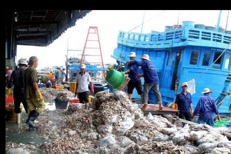 Đưa vào sử dụng cảng cá lớn nhất Bà Rịa-Vũng Tàu