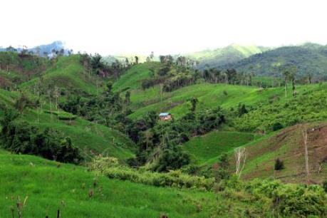 Vụ người dân mất đất do góp vốn trồng cà phê: Gỡ bỏ nút thắt