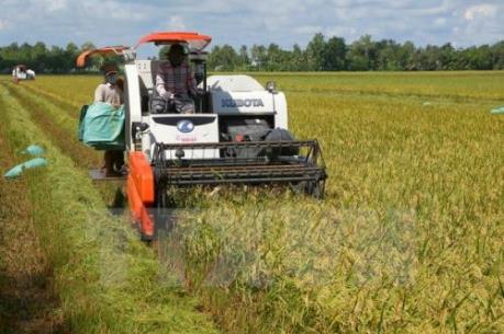 Chiến lược hội nhập kinh tế quốc tế ngành NNPTNT