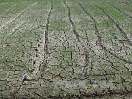Bắc Bộ và Tây Nguyên đối mặt với nguy cơ hạn hán vì El Nino